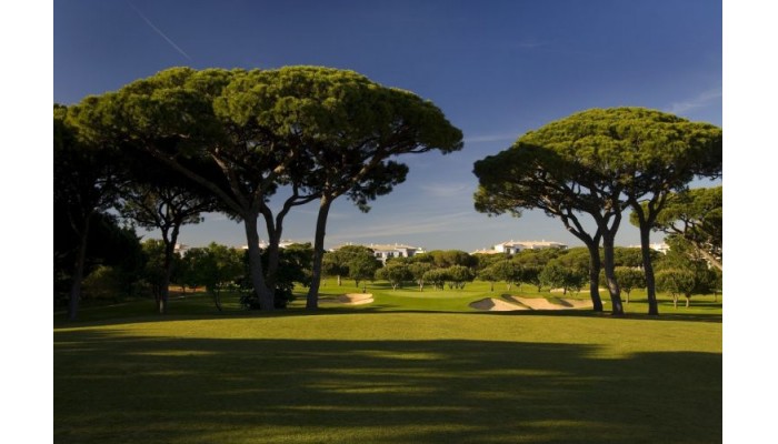 Hotel Pine Cliffs Gardens poza 10