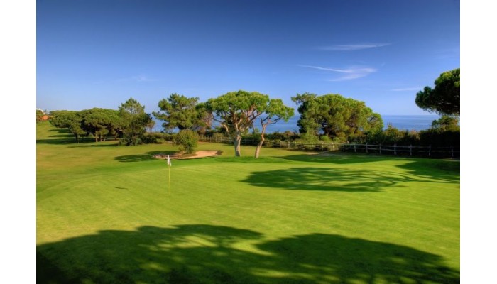 Hotel Pine Cliffs Gardens poza 5