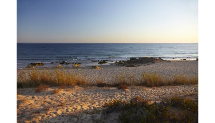 Hotel Salgados Palace poza 8