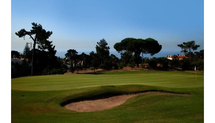 Hotel Palacio Estoril poza 8