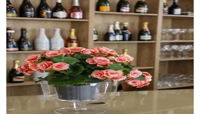 Hotel Se Boutique poza 3