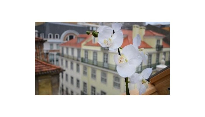 Browns Boutique Hotel & Apartments poza 16