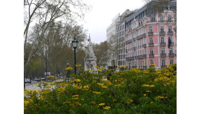 Ever Lisboa City Center Hotel poza 13