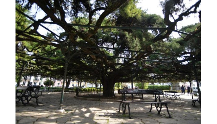 Hotel 1869 Principe Real poza 22