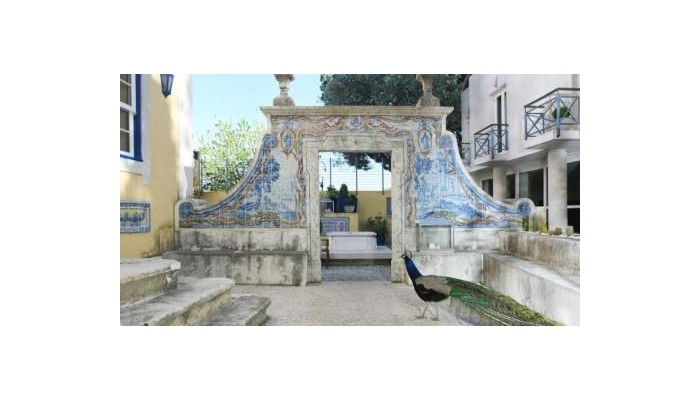 Hotel Solar Do Castelo poza 9