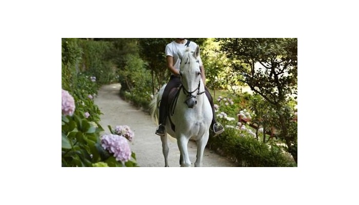 Hotel Tivoli Palacio De Seteais poza 3