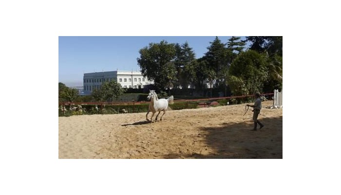 Hotel Tivoli Palacio De Seteais poza 20