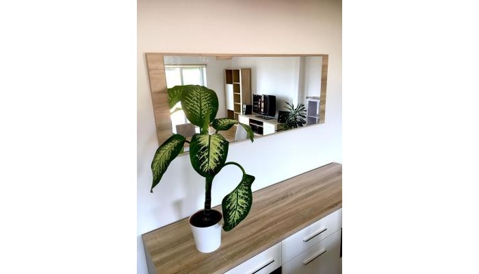 Hotel Casa Do O poza 5