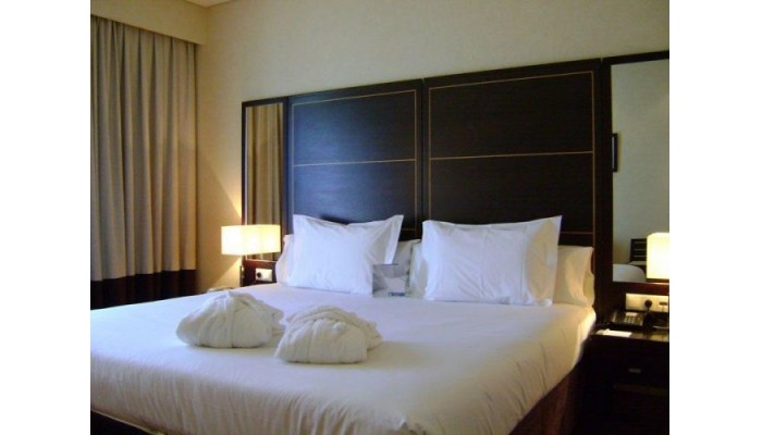 Hotel Eurostars Das Artes poza 1